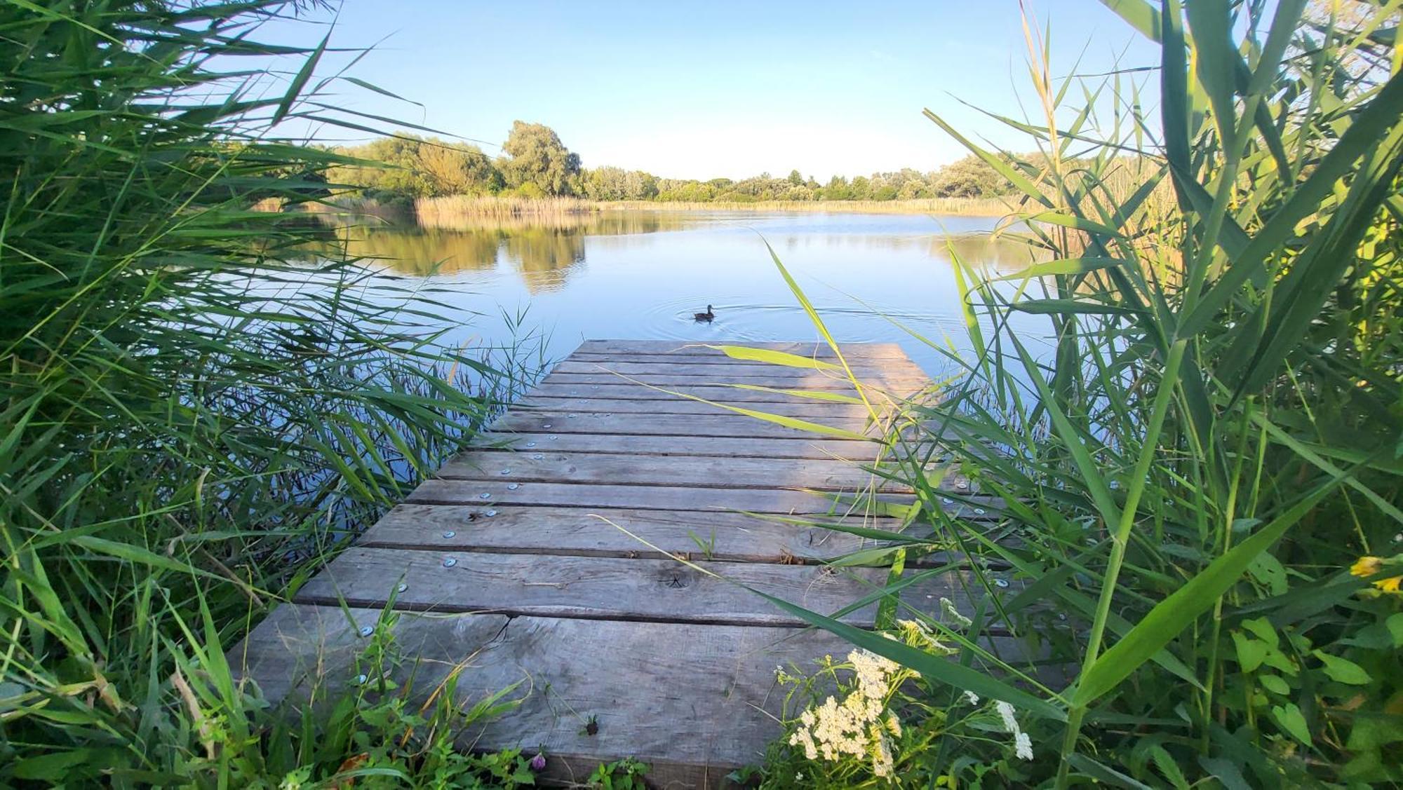 Apartmany Filipovi Novy Prerov Buitenkant foto